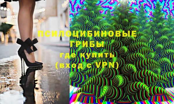 мдпв Зеленодольск