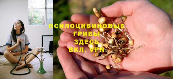 a pvp Зеленокумск